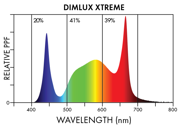 Dimlux Xtreme Spectra 2