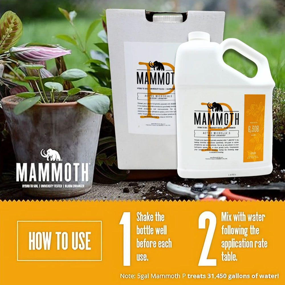 Mammoth P How to Use