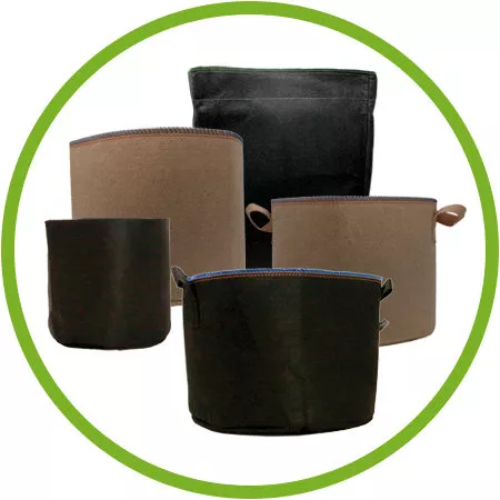 Pots & Containers
