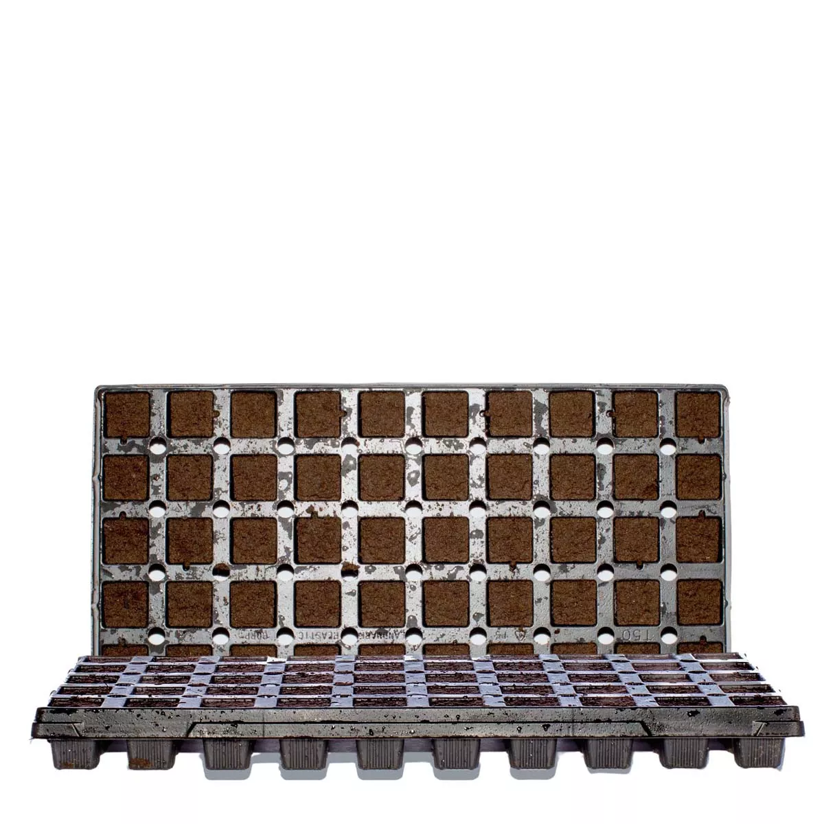 RediRooted Aerating Plugs by Jiffy