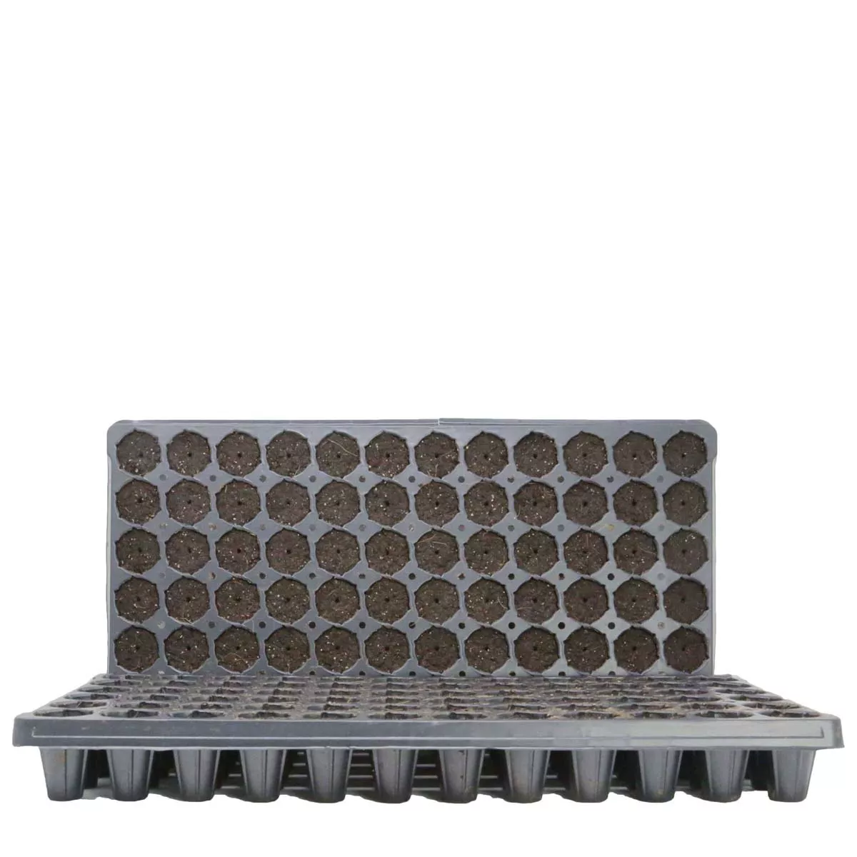 RediRooted Aerating Plugs by Jiffy - Image 2