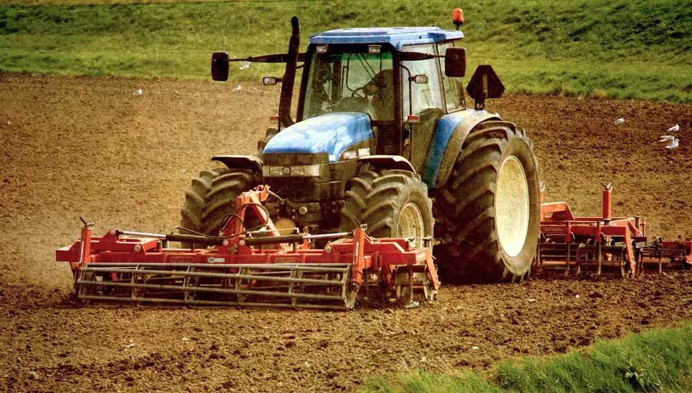 Tilling can disrupt the complex and delicate structures need for healthy soil. 