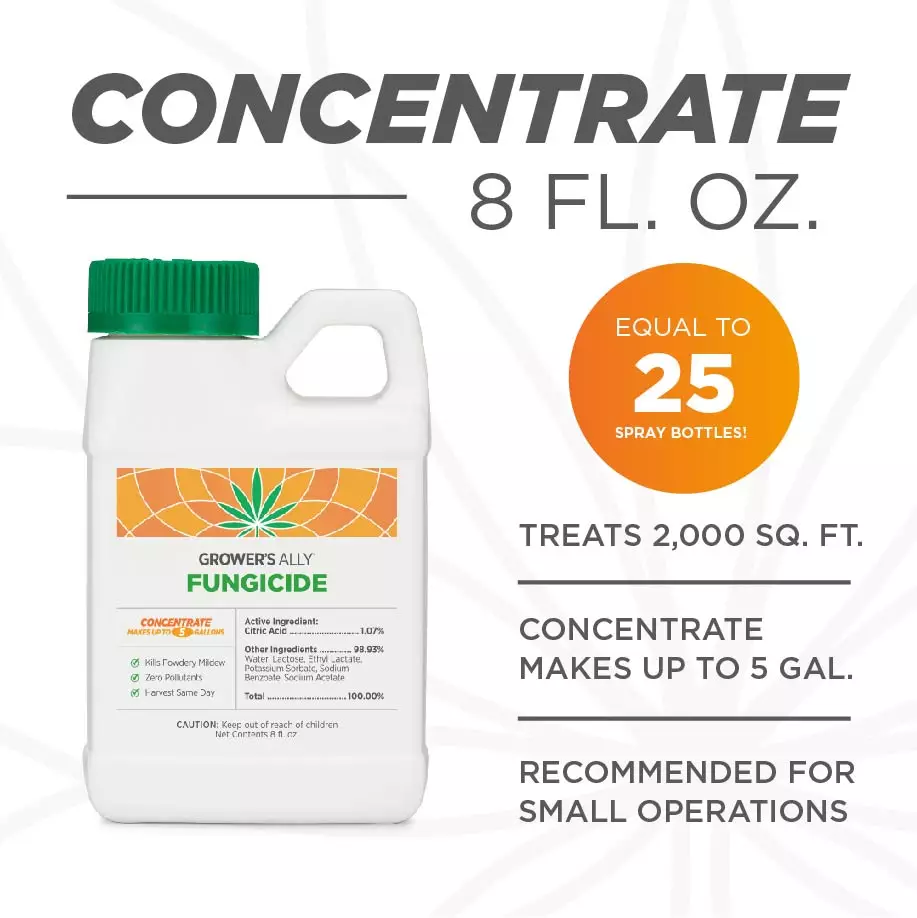 8 oz concentrate makes 25 gallons