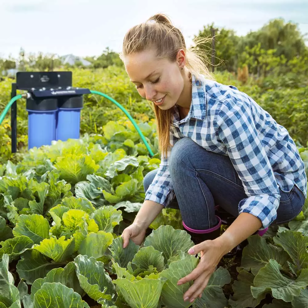 GrowMax Water RO In Use