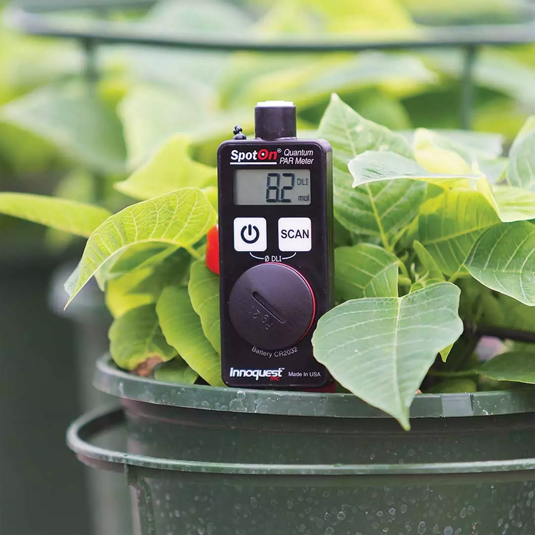 meter inserted into plant pot