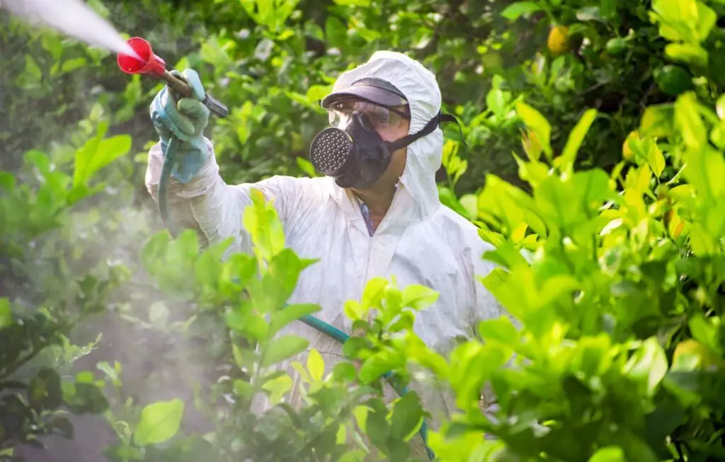 Man in coveralls wearing a respirator spraying plants with a commercial pesticide