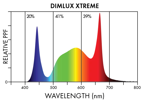 Dimlux Xtreme Spectra 2
