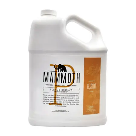 Mammoth P 1 Gallon Bottle Front