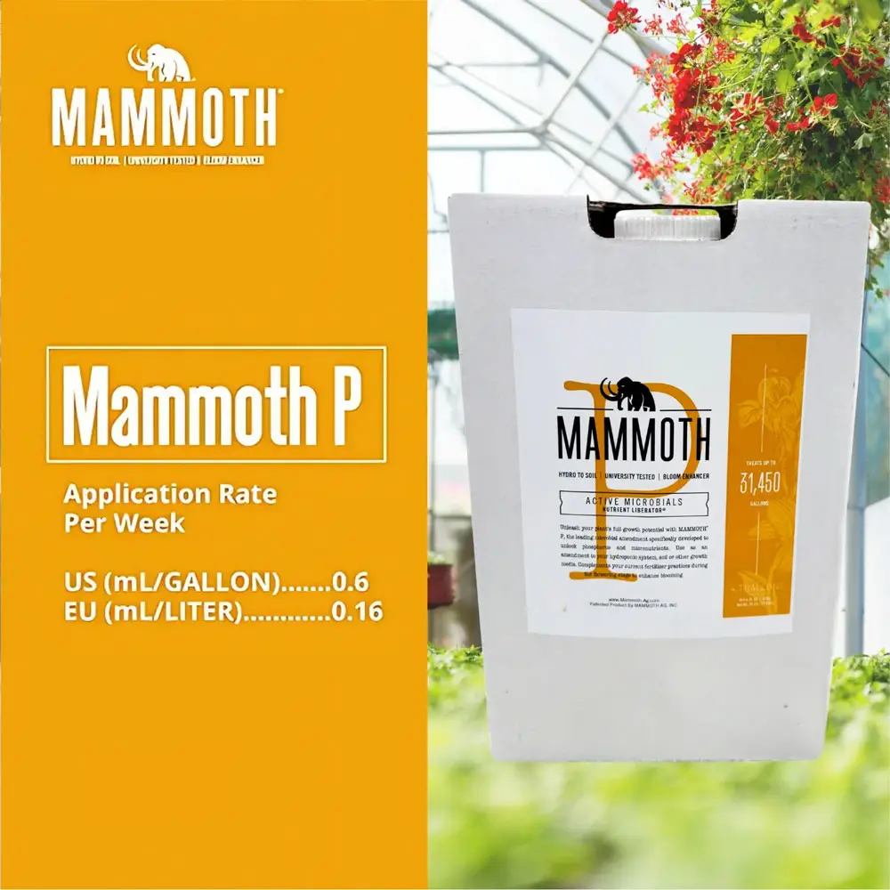 Mammoth P Application Rate