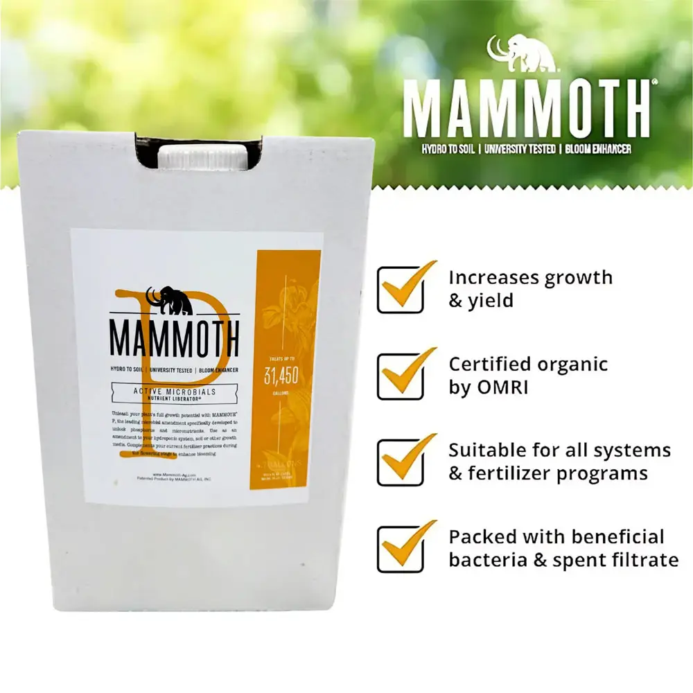 Mammoth P Benefits
