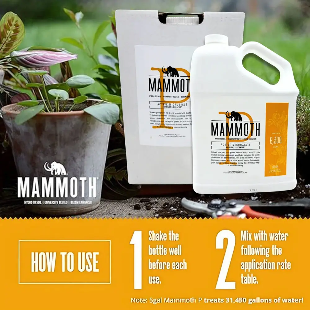 Mammoth P How to Use